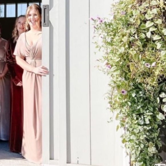 Revelry Gwen Champagne Velvet Dress - Picture 2 of 3